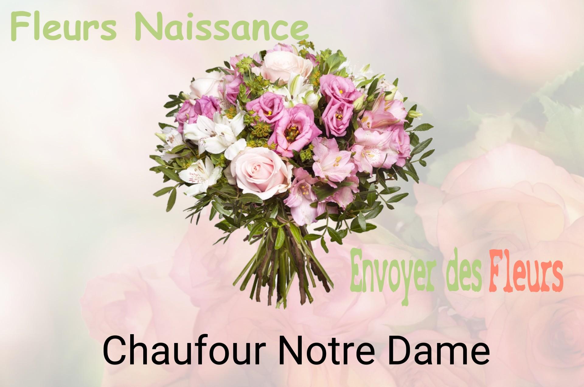 Bouquet de fleurs de naissance livré à Chaufour-Notre-Dame